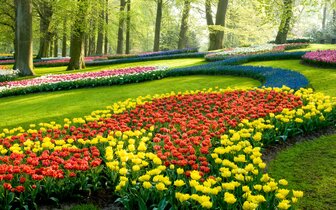 CK Turancar, Letecký poznávací zájazd, Holandská tulipánová cesta, Keukenhof CK Turancar, Letecký poznávací zájazd, Holandská tulipánová cesta, Keukenhof