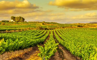 CK Turancar, Letecké poznávacie zájazdy, Španielsko, Barcelona, Girona a Montserrat s kúpaním, vinice