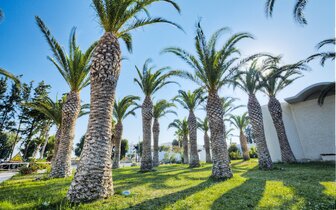 Hotel Kipriotis Hippocrates - hotelová záhrada - letecky zájazd CK Turancar - Kos, Psalidi