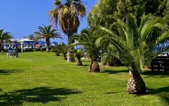 Hotel Sun Beach Resort - záhrada - letecký zájazd CK Turancar - Ialyssos, Rodos