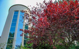 komplex Bella Italia Efa Village v Lignano Sabbiadoro, pobyty organizované CK TURANCAR