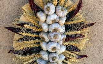 Autobusové poznávacie zájazdy CK Turancar, Česká republika, cesnakový festival