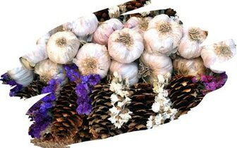 Autobusové poznávacie zájazdy CK Turancar, Česká republika, cesnakový festival