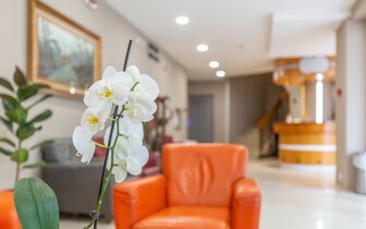 Hotel Airone - Rimini - Taliansko, zájazdy autobusovou a individuálnou dopravou CK TURANCAR