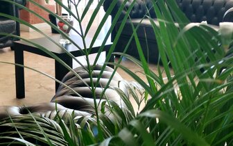 Hotel ARTIDE Rimini Taliansko, dovolenka s CK TURANCAR autobusovou alebo vlastnou dopravou