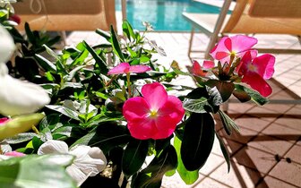 Hotel ARTIDE Rimini Taliansko, dovolenka s CK TURANCAR autobusovou alebo vlastnou dopravou