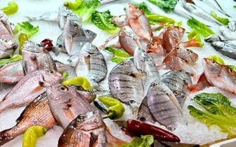 Hotel MIA Rimini, zájazdy a pobyty CK TURANCAR autobusovou a individuálnou dopravou