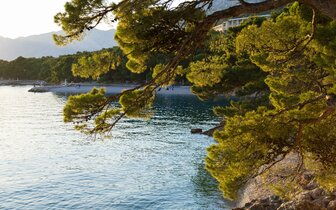 Bluesun Hotel Soline - zájazd CK Turancar - Chorvátsko - Makarska 