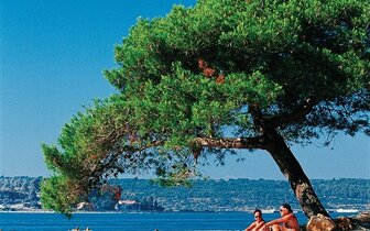 Apartmány Lanterna Resort - autobusový zájazd CK Turancar - Chorvátsko, Istria, Poreč