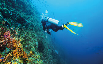 Apartmány Lanterna Resort - autobusový zájazd CK Turancar - Chorvátsko, Istria, Poreč