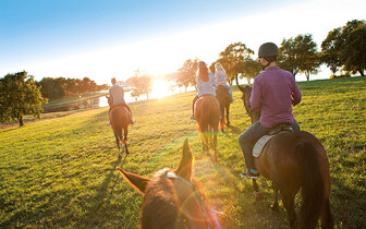 Apartmány Lanterna Resort - autobusový zájazd CK Turancar - Chorvátsko, Istria, Poreč