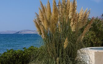 Hotel Pagus - zájazd CK Turancar - Chorvátsko - Pag