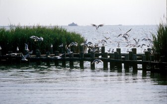 Hotel Laguna Park - zájazd CK Turancar - Taliansko - Bibione Hotel Laguna Park - zájazd CK Turancar - Taliansko - Bibione