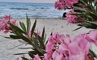 Paralia - pláž