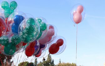 CK Turancar, Letecký poznávací zájazd, Francúzsko, Paríž a rozprávkový Disneyland, Disneyland CK Turancar, Letecký poznávací zájazd, Francúzsko, Paríž a rozprávkový Disneyland, Disneyland