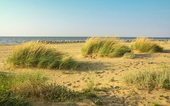 Hotel Palace s bazénom v Bibione, severný Jadran, zájazdy autobusovou a individuálnou dopravou do Talianska CK TURANCAR