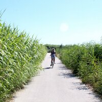 Rezidencia Oltremare - cyklistický chodník - zájazd vlastnou dopravou CK Turancar - Taliansko - San Benedetto del Tronto - Palmová riviéra