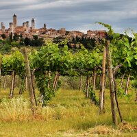 Autobusový poznávací zájazd, Taliansko, Vínna cesta po Toskánsku, San Gimignano