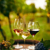 CK Turancar, autobusový poznávací zájazd, Francúzska vínna cesta, vína