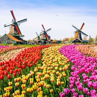 Autobusový poznávací zájazd Kvetinové Holandsko a Belgicko Keukenhof