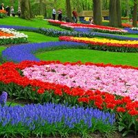Autobusový poznávací zájazd Kvetinové Holandsko a Belgicko Keukenhof