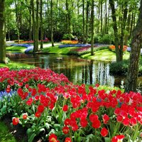 Autobusový poznávací zájazd Kvetinové Holandsko a Belgicko Keukenhof