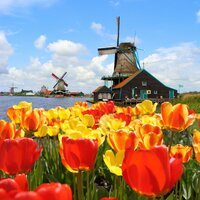 CK Turancar, autobusový poznávací zájazd, Kvetinové Holandsko a Belgicko, Keukenhof, tulipánové polia a veterné mlyny