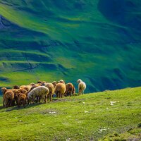 CK Turancar, Letecký poznávací zájazd, Azerbajdžan