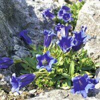 CK Turancar, Autobusový poznávací zájazd, Vysoké Tatry a severný Spiš, horec