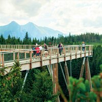 Chodník korunami stromov na jeseň - Bachledova dolina - Vysoké Tatry a severný Spiš - Autobusový poznávací zájazd -  Zdroj: chodnikkorunamistromov.sk