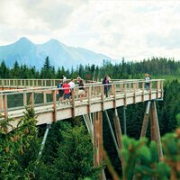 CK Turancar, Autobusový poznávací zájazd, Vysoké Tatry a severný Spiš, Bachledova dolina, chodník korunami stromov