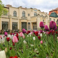 Thermia Palace - individuálny zájazd CK Turancar - Slovensko, Piešťany 