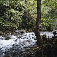 Liptovský dvor -  individuálny zájazd CK Turancar - Slovensko, Liptovský Ján