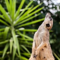 CK Turancar, autobusový poznávací zájazd, Safari park Dvor Králové a pravé české peklo, Safari park