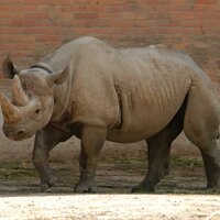 CK Turancar, autobusový poznávací zájazd, Safari park Dvor Králové a pravé české peklo