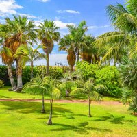 CK Turancar, Letecký poznávací zájazd, Španielsko, Tenerife, Puerto de la Cruz