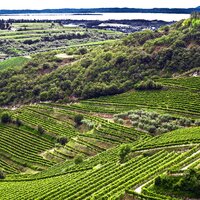 CK Turancar, autobusový poznávací zájazd, Talianske alpské jazerá, Valpolicella vinice