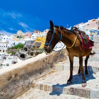 Letecký poznávací zájazd Atény-Santorini-Kréta, Santorini