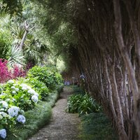 CK Turancar, Letecký poznávací zájazd, Portugalsko, Madeira