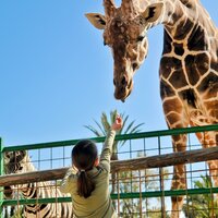 CK Turancar, autobusový poznávací zájazd, Legoland a ZOO Hellabrunn, zoologická záhrada