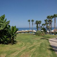 Cynthiana Beach Hotel - záhrada - letecký zájazd CK Turancar - Cyprus, Paphos
