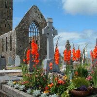 Okruh Írskom, letecký poznávací zájazd, Clonmacnoise