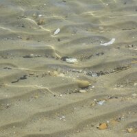 Rezidencia Mediterraneo - pláž - CK Turancar (San Benedetto del Tronto - Palmová riviéra)