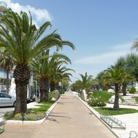 Rezidencia Mediterraneo - autobusový zájazd CK Turancar (San Benedetto del Tronto - Palmová riviéra)