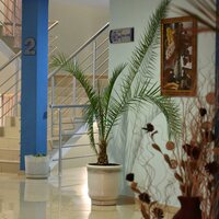 Hotel Queen Nelly - letecký a autobusový zájazd CK Turancar - Bulharsko , Primorsko