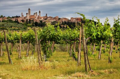 CK Turancar, autobusový poznávací zájazd, Vínna cesta po Toskánsku, San Gimignano, vinice