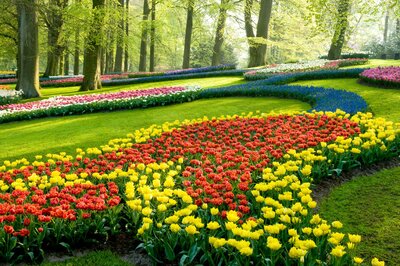 Autobusový poznávací zájazd Kvetinové Holandsko a Belgicko Keukenhof