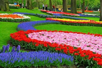 Autobusový poznávací zájazd Kvetinové Holandsko a Belgicko Keukenhof