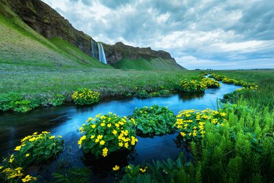 CK Turancar, Letecký poznávací zájazd, Island, Seljalandsfoss