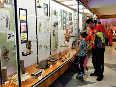 Expozícia tatranskej prírody, Múzeum TANAPu - Vysoké Tatry a severný Spiš - Autobusový poznávací zájazd - Zdroj: Štátne lesy TANAPu 